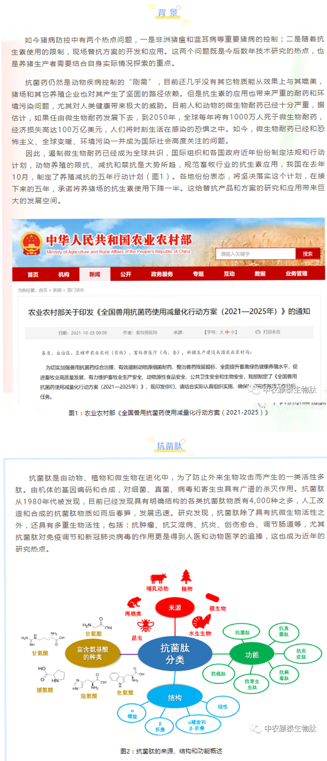 淺談抗菌肽添加劑在養豬現場的應用_01