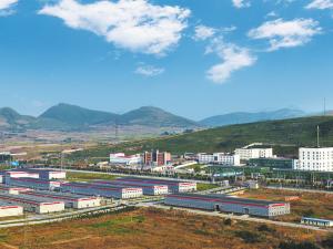 發展新質生產力，抗菌肽提升綠色健康養殖